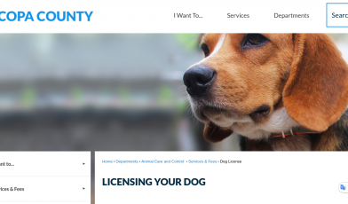 Maricopa County Licensing Your Dog logo