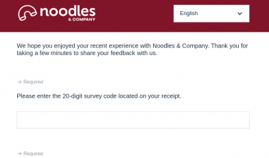 Noodles Survey